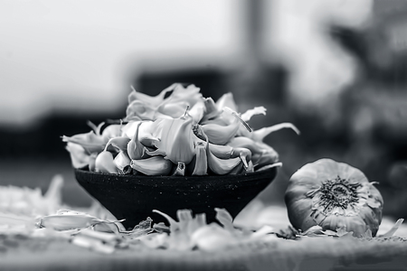Allium sativum, Raw Garlic in a clay bowl on a gunny background.の写真素材