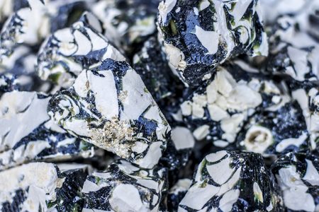 Close up Benzoin resin,Lobhan in the market.の写真素材