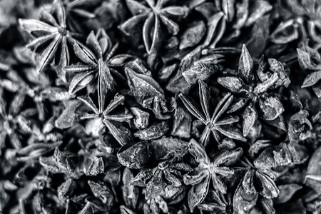 Illicium verum also known as star anise seed, badiyan.の写真素材