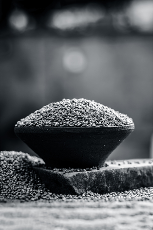Raw organic Pennisetum glaucum,Bajra pearl millet in a clay bowl.の写真素材