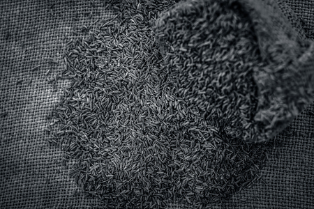 Raw organic cumin seeds,Cuminum cyminum  in  a gunny bag.の写真素材