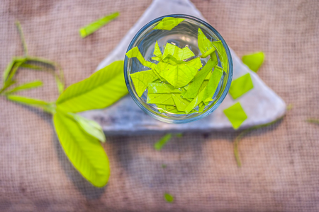 Leaves of guava, Psidium guajava cut in a glass