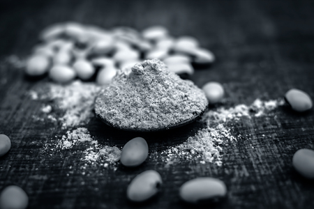 Close up of ayurvedic herb kuanch,cowhage,Mucuna pruriens with powder.の写真素材