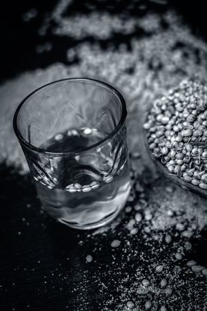 Close up of water of Coriandrum sativum,Coriander with its powder.の写真素材