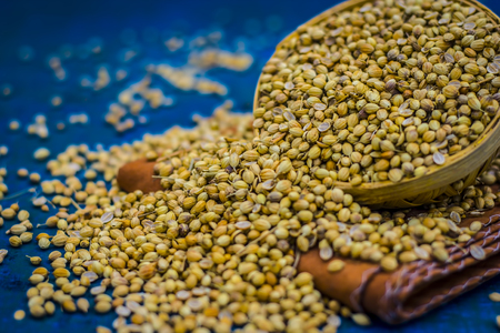 Close up of spice coriander seeds,Coriandrum sativum in a traditional basket.