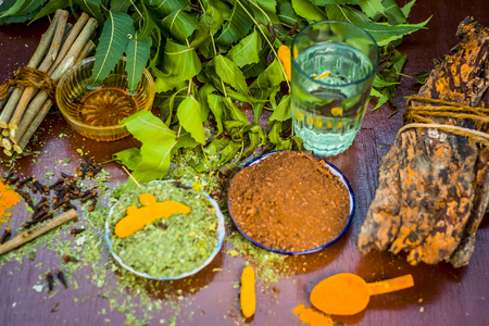 Powder of Indian lilac,Azadirachta indica in a glass plate with its leaves and raw underpowered turmeric.の写真素材