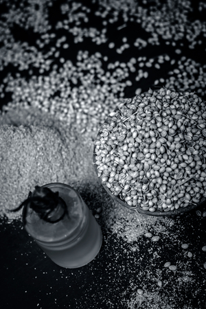 Coriander/Coriandrum sativum/dhaniya oil with dried coriander seeds in a clay bowl.の写真素材