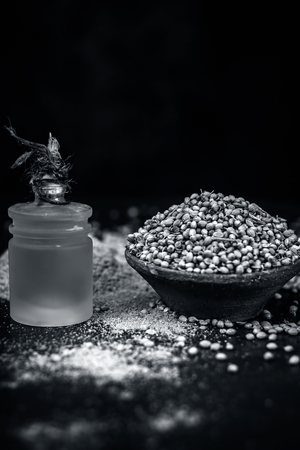 Coriander/Coriandrum sativum/dhaniya oil with dried coriander seeds in a clay bowl.の写真素材