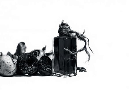 Close up of fresh leaves of Gular,Golar or Clustar Fig tree or Indian Fig tree fruit isolated on a white surface with various benefits and its beneficial oil of light pink color .の写真素材