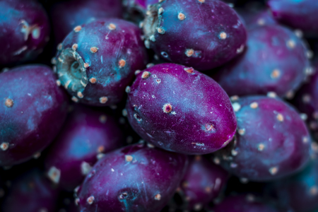 Close up of reddish Momordica dioica or Kantola, Bristly Balsam Pear or pine gourd.の写真素材