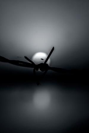 Rusted barbed wire with the bookeh of sunset of old lake.の写真素材