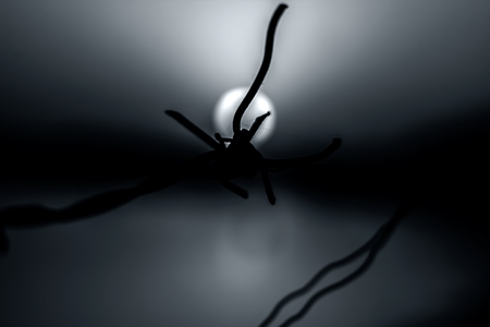 Rusted barbed wire with the bookeh of sunset of old lake.の写真素材