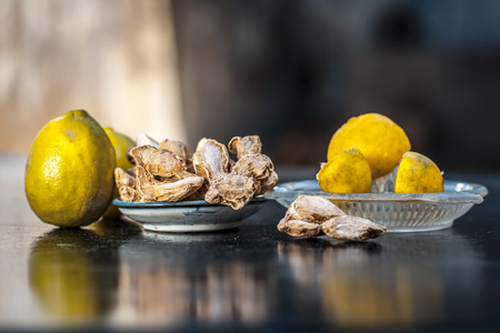 Raw fresh ripe lemons or Citrus Ã limon in a glass squeezer on black wooden surface in dark Gothic colors with ayurvedic herb dried ginger it helps in digestion,relief of cough, it is antifungal herb.;の写真素材