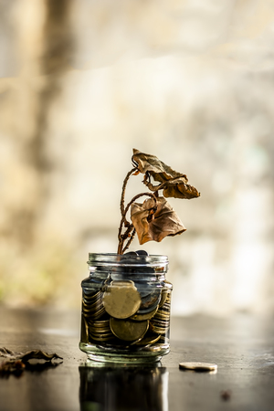 A glass jar full of coins and a dry plant dying through it.  Concept of loan,  mortgage,  inflation,  budget, over expenses,  payment, bankrupt, etc.の写真素材