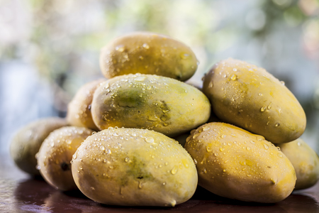 Raw organic bright orange colored common mango or Indian mango or âKesar Kariâ on wooden surface.の写真素材