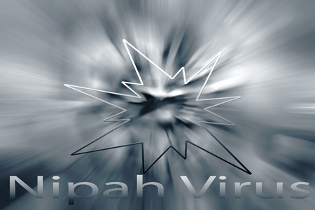 Nipah Virus Infection (NiV) is a viral zoonosis caused by Nipah virus of the genus Henipavirus in...