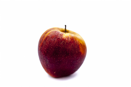 Bright fresh organic shimla apple or common Indian apple or himachal apple  isolated on white.