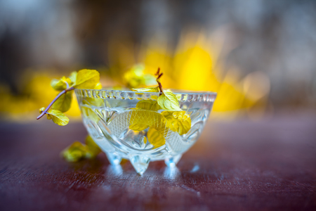 Mint water with raw organic leaves of mint on brown wooden surface.の写真素材