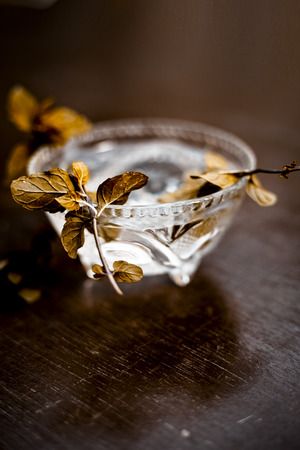 Tulsi ka pani or extract of holy basil or Ocimum tenuiflorum used in many holy works and in modern and ayurvedic medicines along with homeopathic and aromatherapy  works.の写真素材