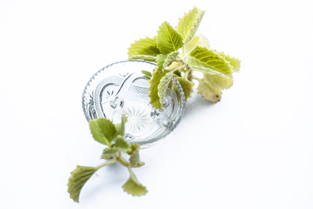Ajwain water or carom extract or bishop's weed water in a bowl with raw ajwain or  oomam leaves isolated on white.の写真素材