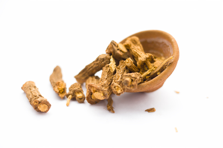 Raw dried Indian sarsaparilla in a clay bowl isolated on white used in many or almost Indian Asian flavored beverages.の写真素材