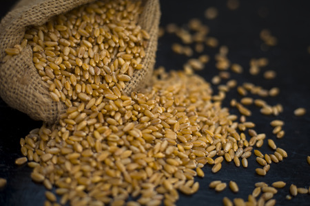 Raw common wheat in a gunny bag on wooden surface.の写真素材