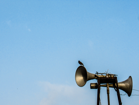 Eagle bird sitting on a old vintage mike.の写真素材