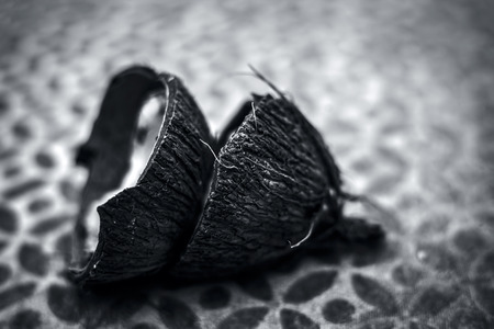 Raw dried organic cut coconut on brown colored surface,close up shot.の写真素材