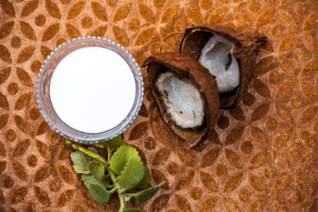 Close up of coconut milk in a transparent glass bowl with raw coconut on a brown colored background.の写真素材