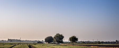 Empty fields wide angle landscape view of fields with some trees and vegetations.の写真素材