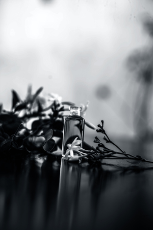 Close up of essence or essential oil of Indian jasmine flower or juhi or Jasminum Auriculatum isolated on white in a small transparent glass bottle with raw flowers.の写真素材