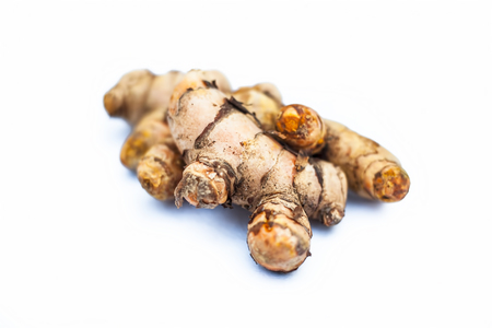 Close up of popular Indian & Asian raw organic herb or ayurvedic herb isolated on white i.e. Amba haldi or Mango ginger or white ginger or Curcuma amada.の写真素材