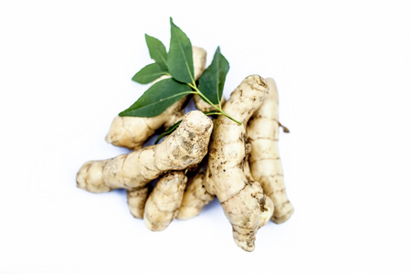 Close up of popular Indian & Asian raw organic herb or ayurvedic herb isolated on white i.e. Amba haldi or Mango ginger or white ginger or Curcuma amada.の写真素材