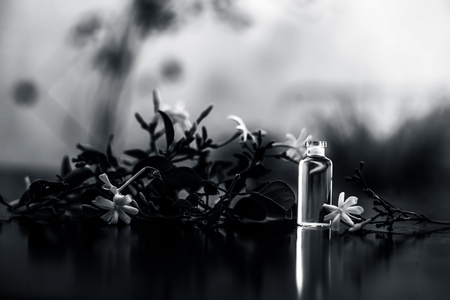 Close up of essence or essential oil of Indian jasmine flower or juhi or Jasminum Auriculatum isolated on white in a small transparent glass bottle with raw flowers.の写真素材