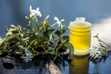 Close up of  essential oil of Indian jasmine flower or juhi or Jasminum Auriculatum isolated on white in a small transparent glass bottle with raw flowers.の写真素材
