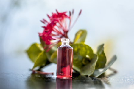 Red colored pentas flower or Egyptian Star Flower or jasmine on wooden surface with its extracted beneficial floral essence or essential oil in small transparent glass bottle.の写真素材