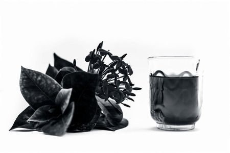 Red colored pentas flower or Egyptian Star Flower or jasmine isolated on white with its extracted water or drink in a transparent glass.の写真素材