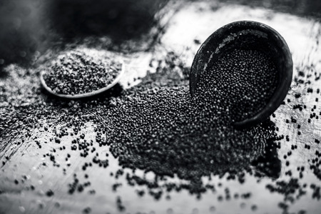Raw organic herbal spice Mustard seeds or sarso or rai or Brassica nigra, in a clay bowl along with its powder in another bowl on wooden surface.の写真素材