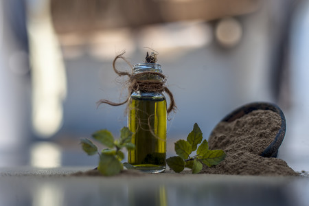 Ayurvedic herb brahmi or Waterhyssop oil in a small transparent glass bottle along with its powder on wooden surface.の写真素材