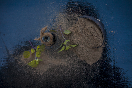 Ayurvedic herb brahmi or Waterhyssop with its essence  in a small transparent glass bottle along with its powder on wooden surface.の写真素材