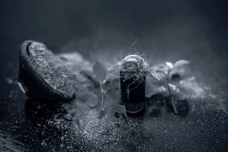 Ayurvedic herb brahmi or Waterhyssop with its essence  in a small transparent glass bottle along with its powder on wooden surface.の写真素材
