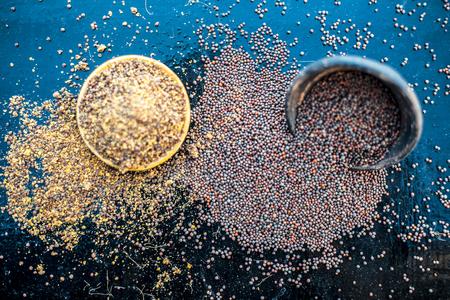 Raw organic herbal spice Mustard seeds or sarso or rai or Brassica nigra, in a clay bowl along with its powder in another bowl on wooden surface.の写真素材