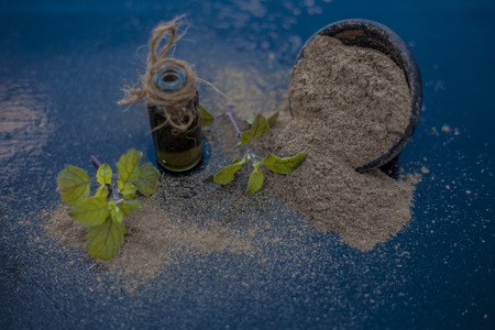 Ayurvedic herb brahmi or Waterhyssop with its essence  in a small transparent glass bottle along with its powder on wooden surface.の写真素材