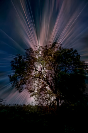 Sunset time shot of tree and sun with colorful clouds.の写真素材