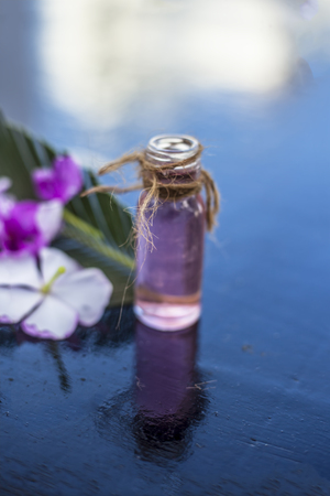 Herbal and floral essence or concentration made from Rosmarinus officinalis also known as rosemarry flower  in a glass bottle on wooden surface.の写真素材