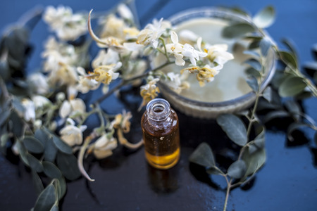 Herbal and floral essence or concentration of drumstick flowers along with its paste on wooden surface.の写真素材