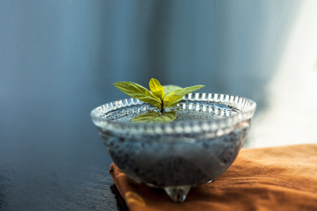 Close up of soaked sabja seeds or falooda seeds or sweet basil seeds in a glass bowl on brown colored napkin on wooden surface with some mint leaves in it.Used in many flavored beverages.の写真素材