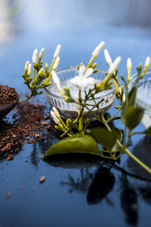 Ayurevidic face pack of Indian jasmine in a glass bowl on wooden surface i.e. jasmine extract well mixed with sandal wood powder and water.Used for skin lightening purposes.の写真素材