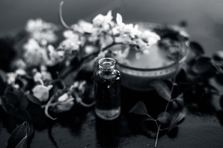 Herbal and floral essence or concentration of drumstick flowers along with its paste on wooden surface.の写真素材
