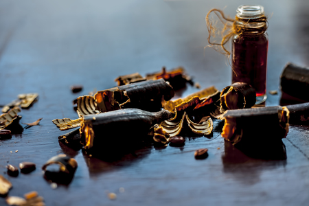 Golden shower tree or garmalo or Amaltas or Cassia fistula oil in a transparent glass bottle along with its fruit and cut pulp on wooden surface.の素材 [FY310123043885]